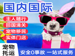 昆明长水航空货运国际宠物托运 【国
